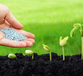 soluciones alimentacion sobitec peru