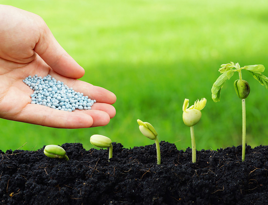 soluciones alimentacion sobitec peru