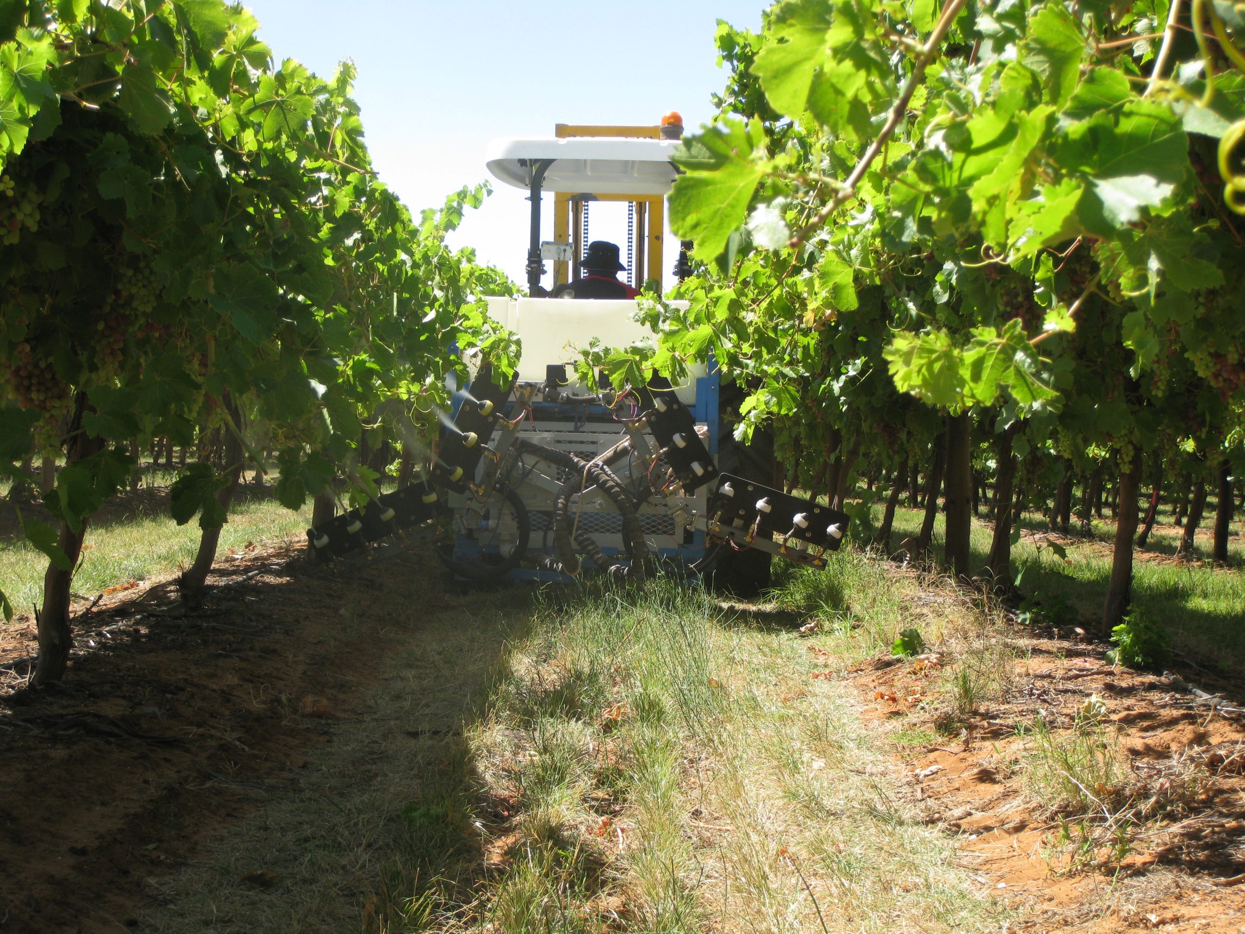 soluciones agricolas para el campo peruano