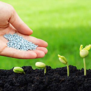 CORRECTORES NUTRICIONALES