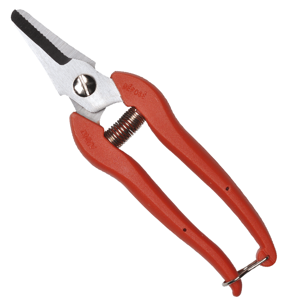 Tijera de Vendimia 6087